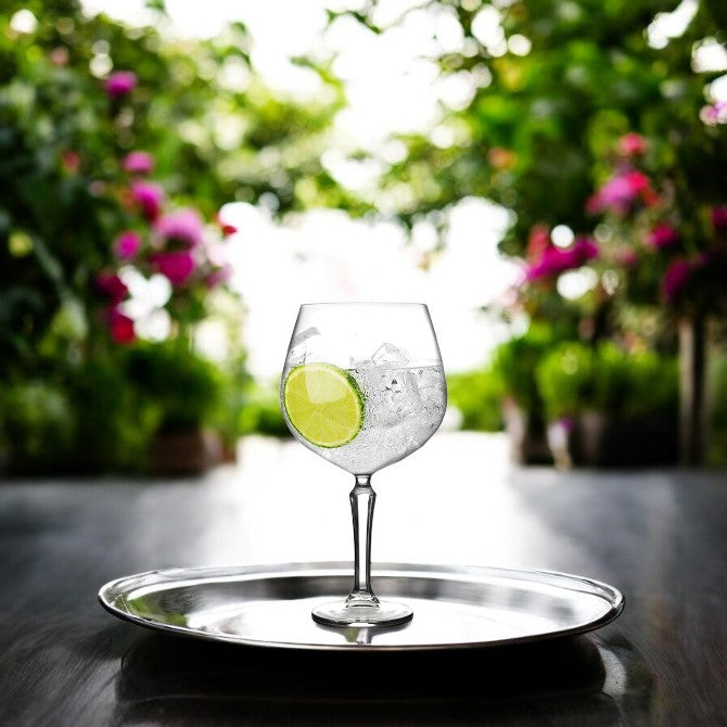 Fern - Gin Glasses - Set of 4 - Munde Home