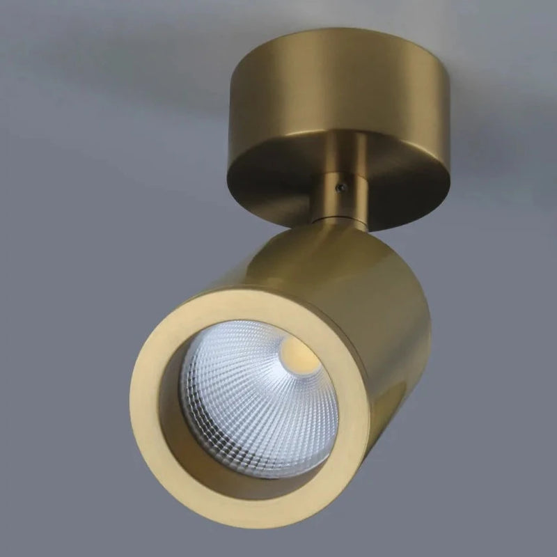 Essence Adjustable LED Spotlight - Gold