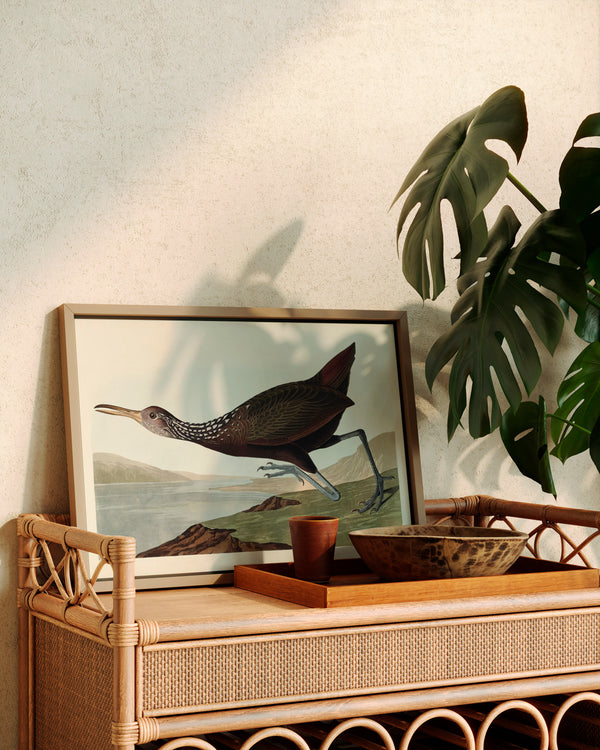 John James Audubon Scolopaceus Courlan - Poster - Munde Home