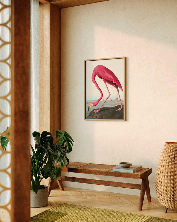 John James Audubon Pink Flamingo - Poster - Munde Home
