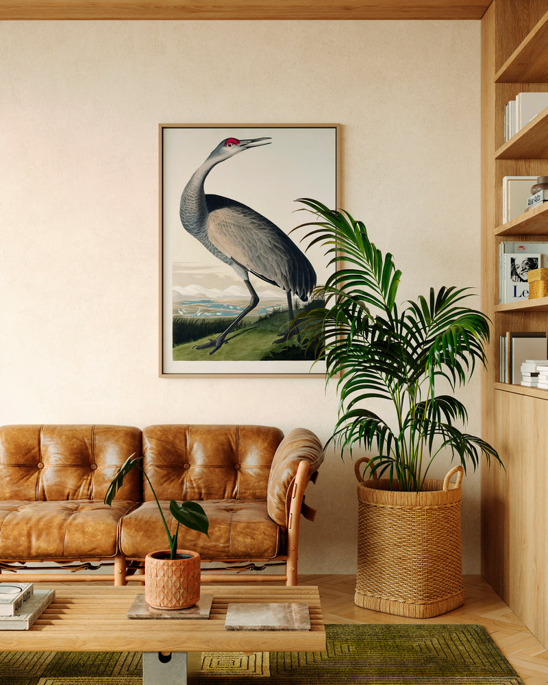 John James Audubon Hooping Crane - Poster - Munde Home