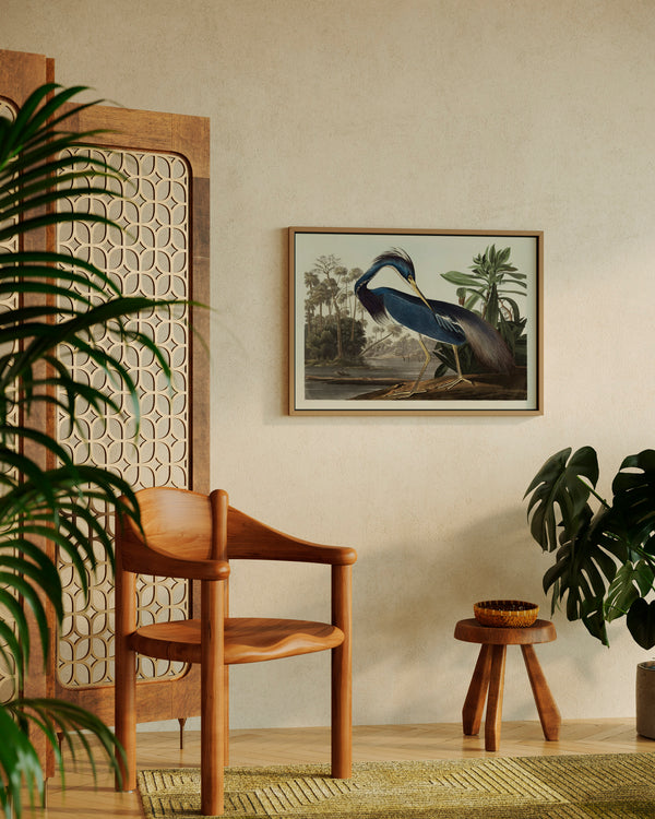 John James Audubon Louisiana Heron - Poster - Munde Home
