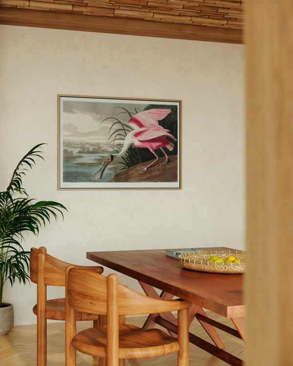 John James Audubon Roseate Spoonbill - Poster - Munde Home
