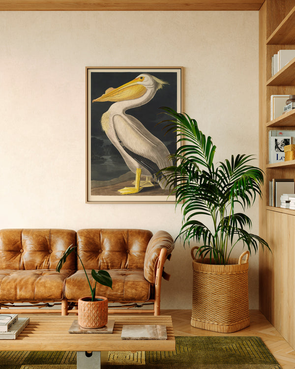 John James Audubon American White Pelican - Poster - Munde Home