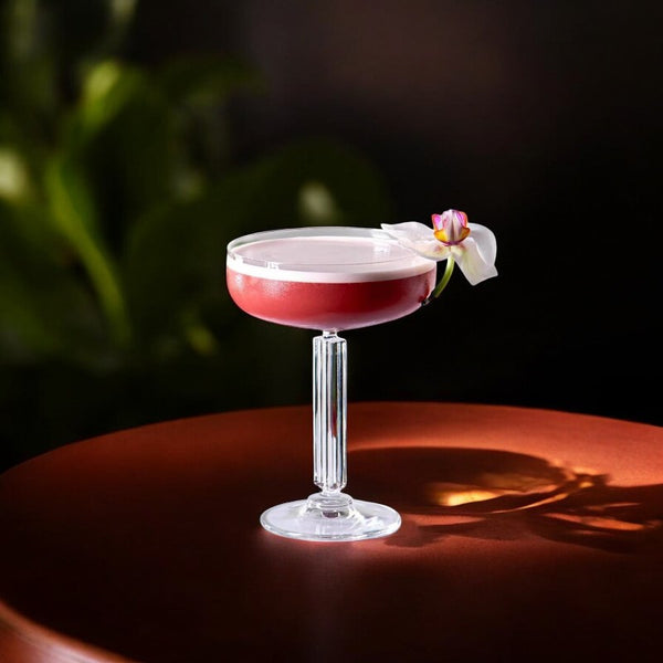 Daphne - Champagne Coupes - Set of 6