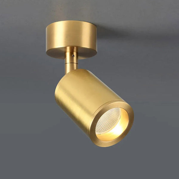 Essence Adjustable LED Spotlight - Gold