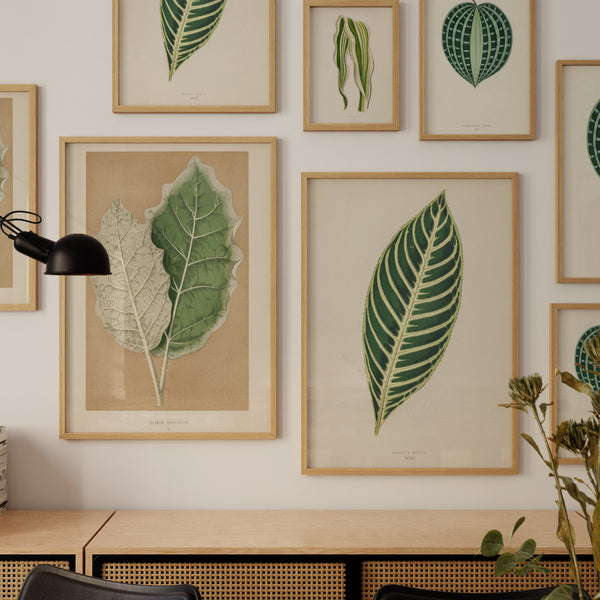 Tropical Leaves Striped Maize  - Poster