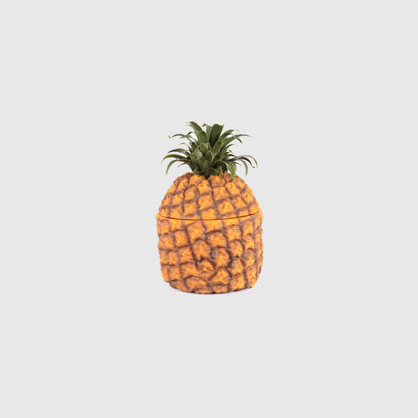Pineapple Ice Bucket