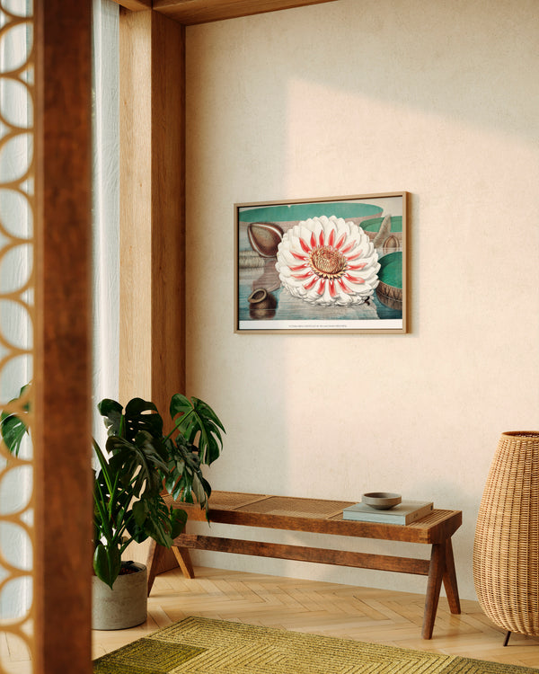 William Sharp Victoria Regia Water Lily - Poster - Munde Home