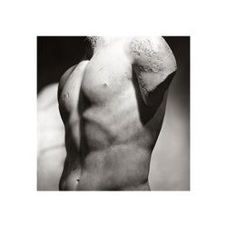 Marble Male Torso Statue - Poster