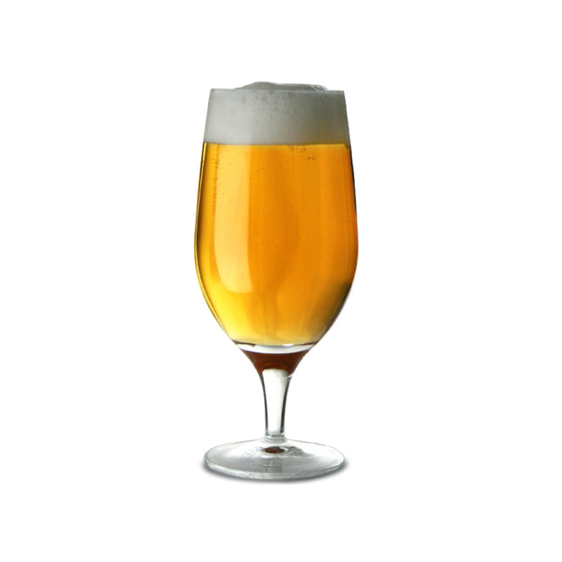 Piero - Crystal Beer Glass Set of 6 - Munde Home