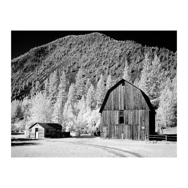 Montana Barn No. 2 - Poster