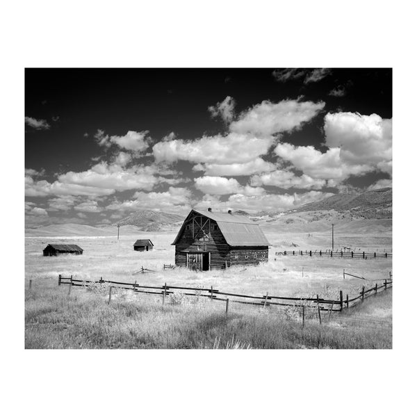 Montana Barn - Poster