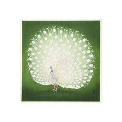 Ohara Koson Peacock - Poster