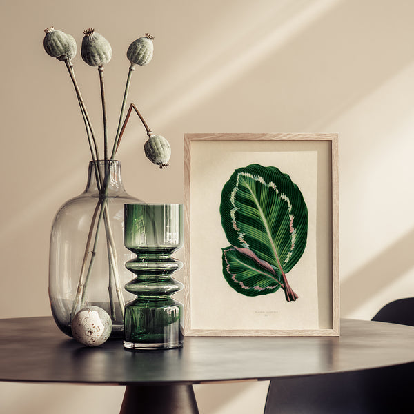 Tropical Leaves Rose Painted Calathea - Poster
