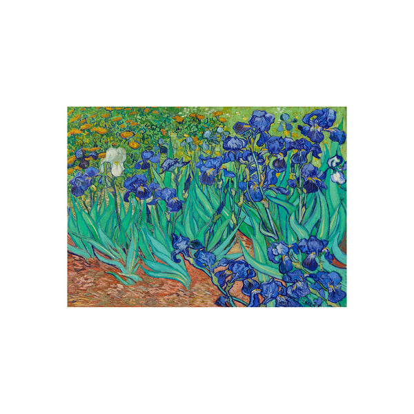 Van Gogh Irises in the Garden - Poster