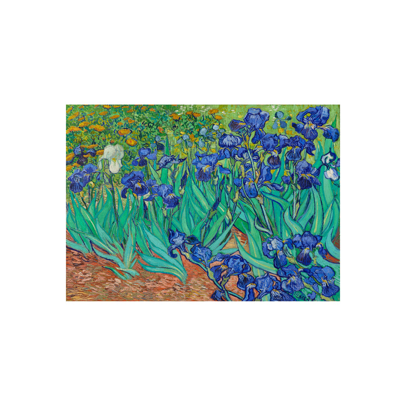 Van Gogh Irises in the Garden - Poster - Munde Home