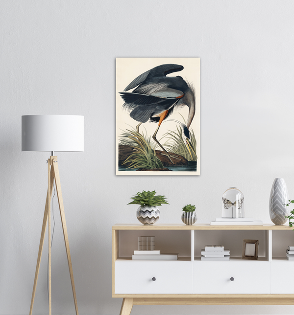 John James Audubon Great Blue Heron - Poster