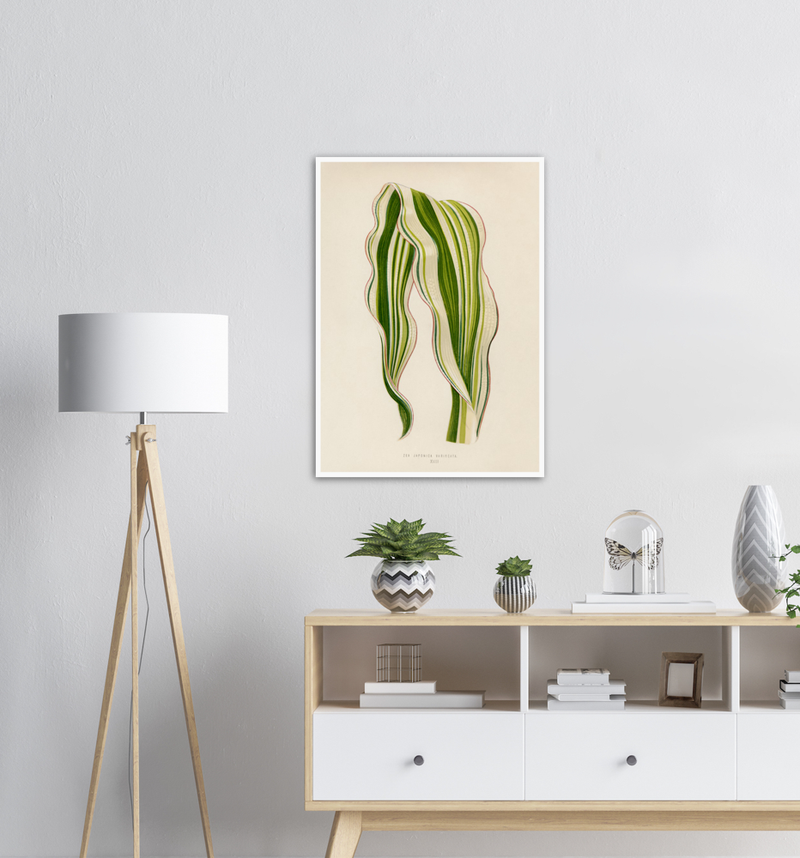Tropical Leaves Striped Maize  - Poster