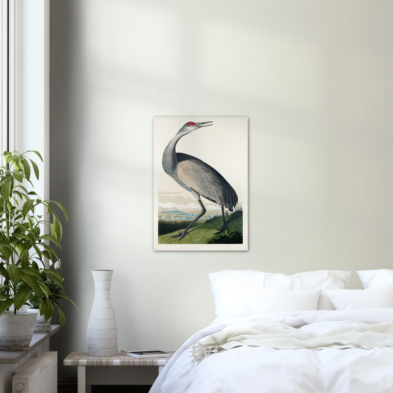 John James Audubon Hooping Crane - Poster