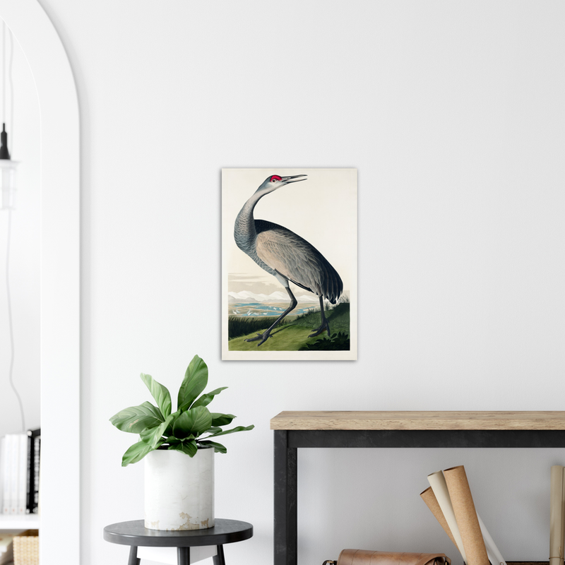 John James Audubon Hooping Crane - Poster