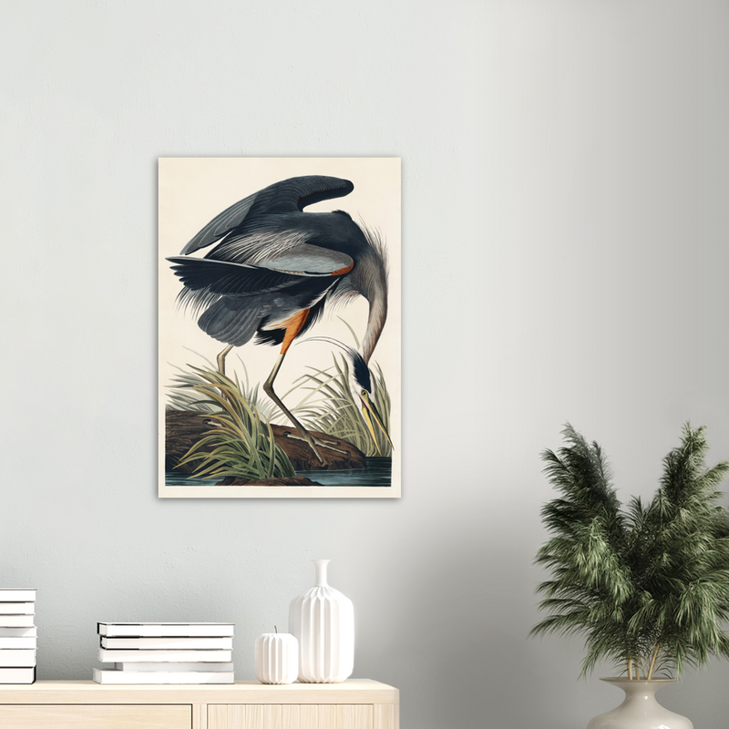 John James Audubon Great Blue Heron - Poster